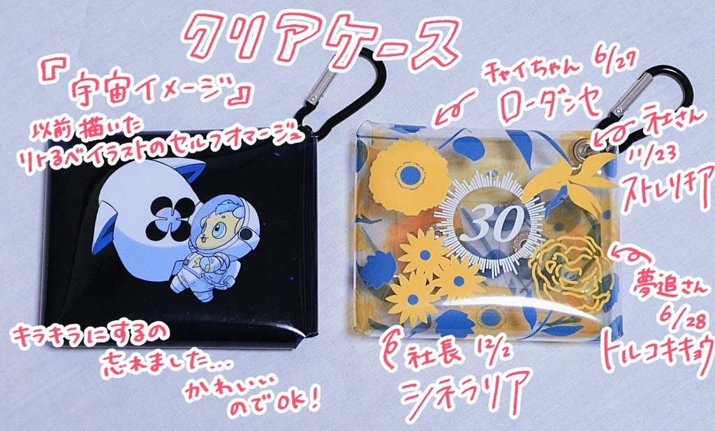 【非公式】クリアケース