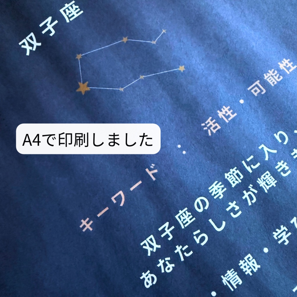 ♊【双子座】2026年 星と歩む12ヶ月ジャーナル(Gemini)PDF