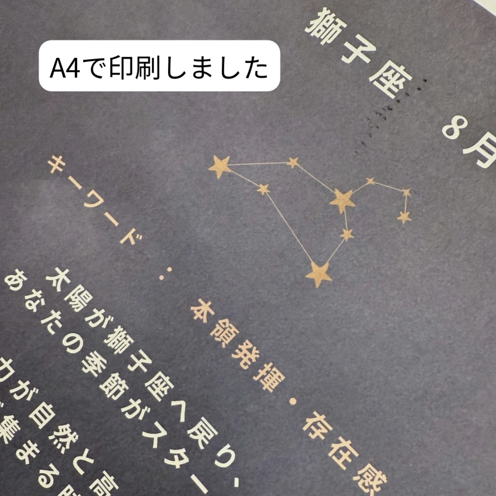 ♌【獅子座】2026年 星と歩む12ヶ月ジャーナル(Leo)PDF