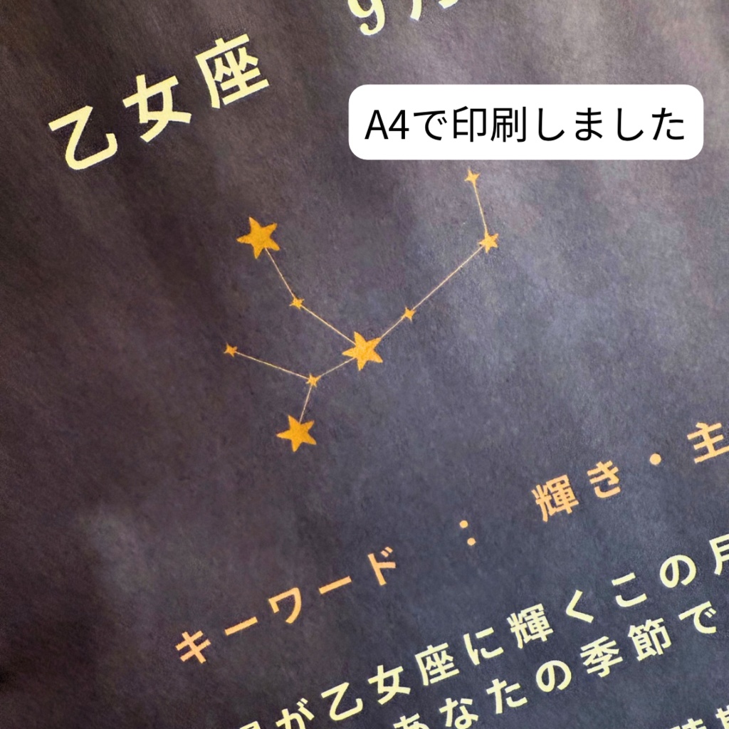 ♍【乙女座】2026年 星と歩む12ヶ月ジャーナル(Virgo)PDF