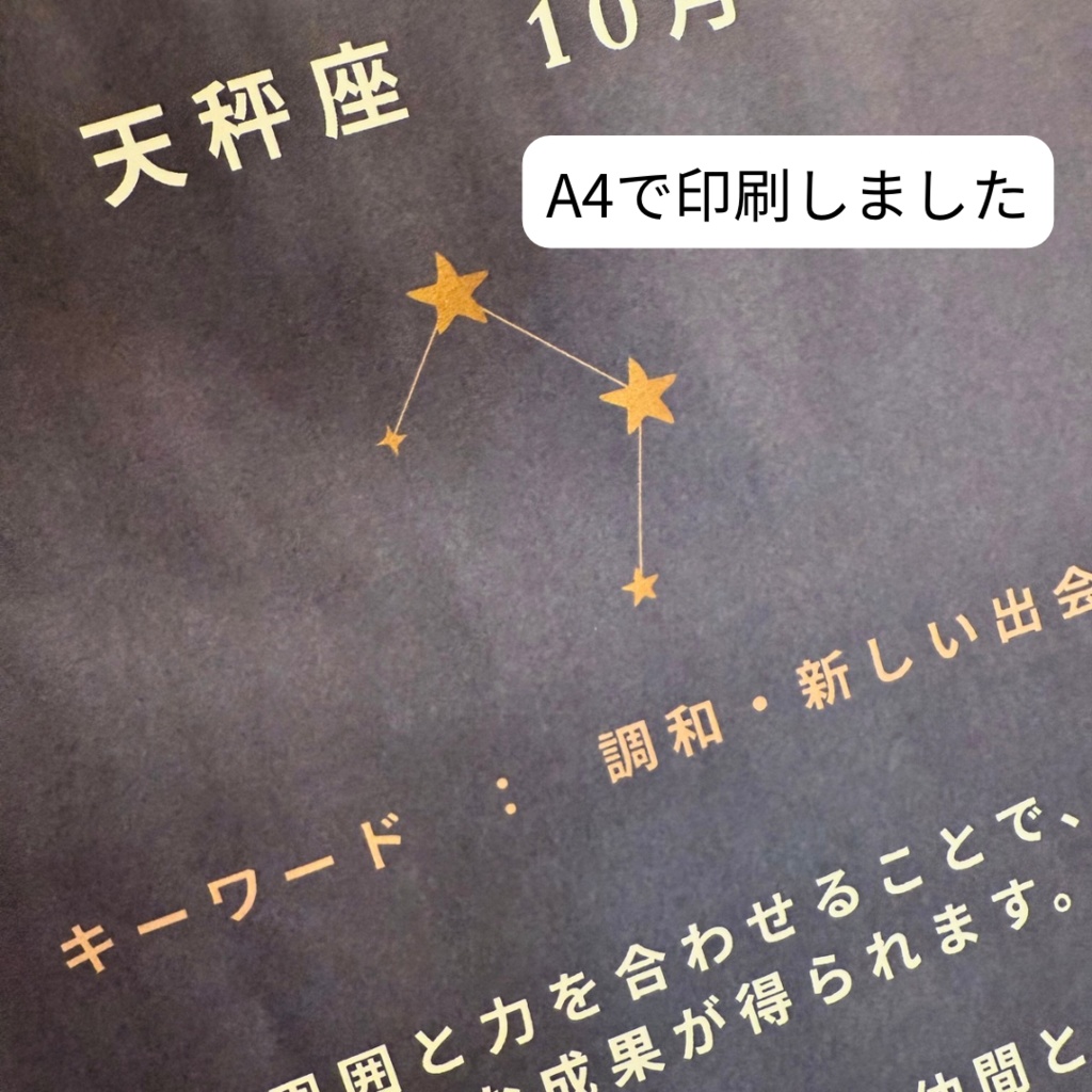 ♎【天秤座】2026年 星と歩む12ヶ月ジャーナル(Libra)PDF