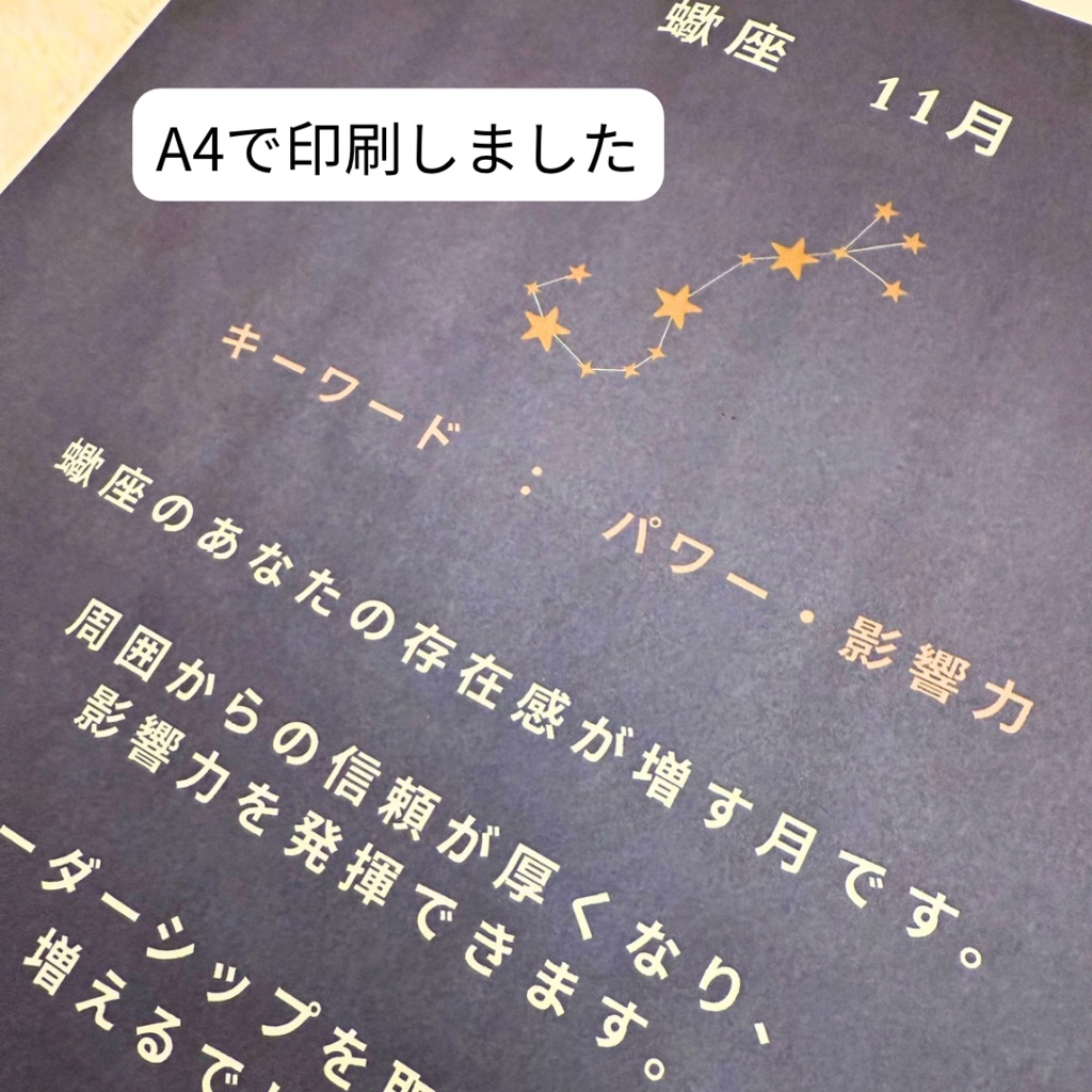 ♏【蠍座】2026年 星と歩む12ヶ月ジャーナル(Scorpio)PDF