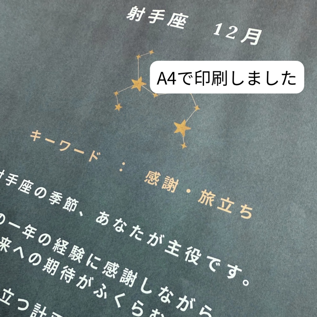 ♐【射手座】2026年 星と歩む12ヶ月ジャーナル(Sagittarius)PDF