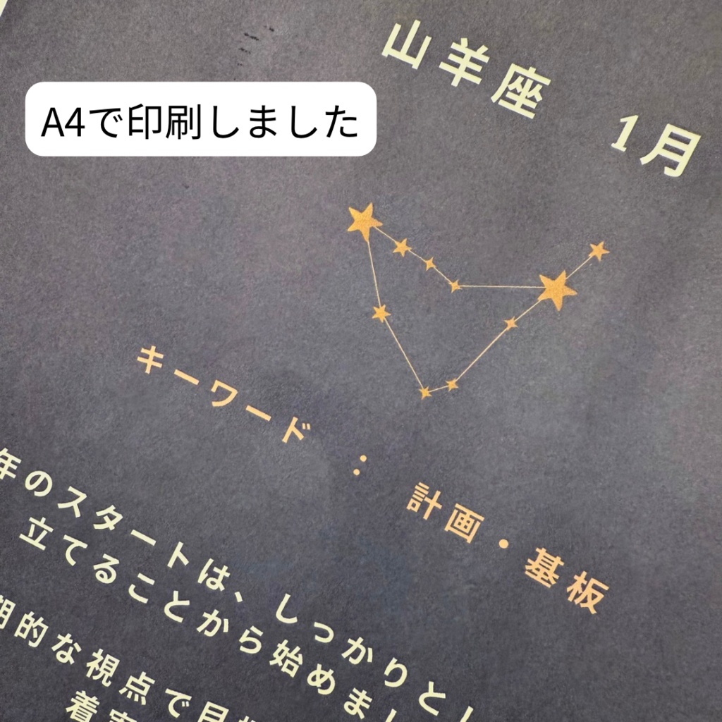 ♑【山羊座】2026年 星と歩む12ヶ月ジャーナル(Capricorn)PDF