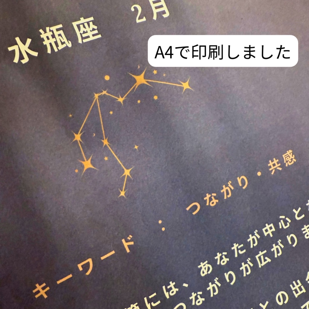 ♒【水瓶座】2026年 星と歩む12ヶ月ジャーナル(Aquarius)PDF