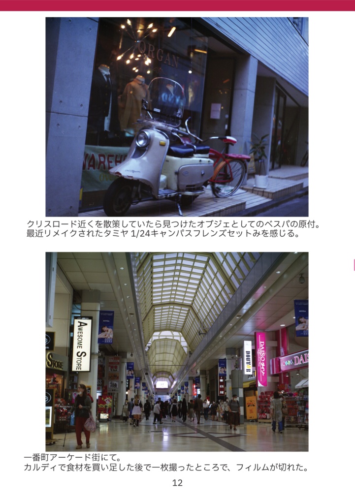 JC Junk Camera No.11 Seagull4B-1の魅力