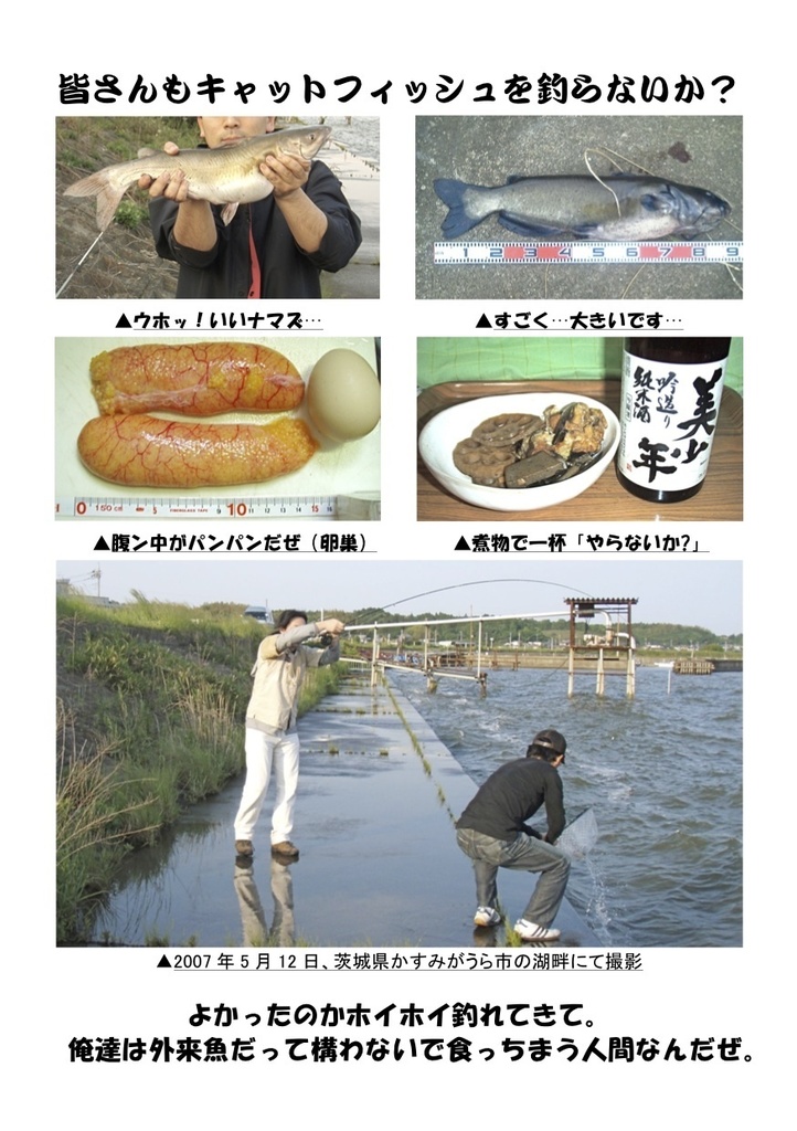 キャットフィッシング教書 改訂版