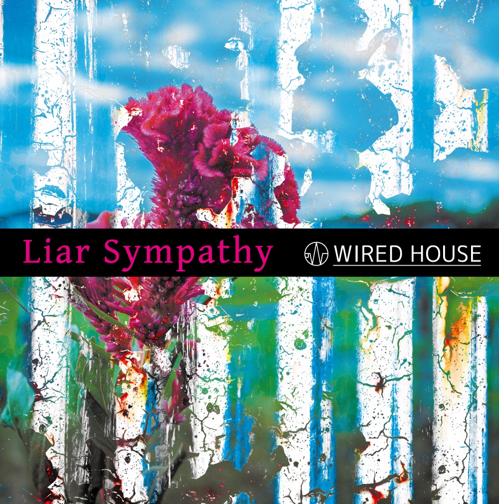 Liar Sympathy