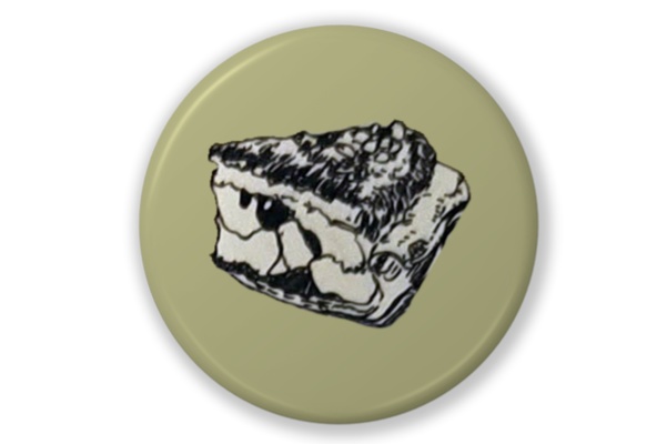 食べ物缶バッジ