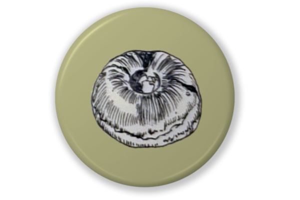 食べ物缶バッジ