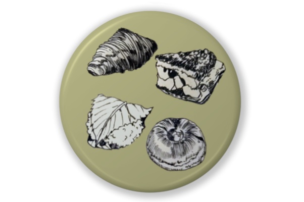 食べ物缶バッジ