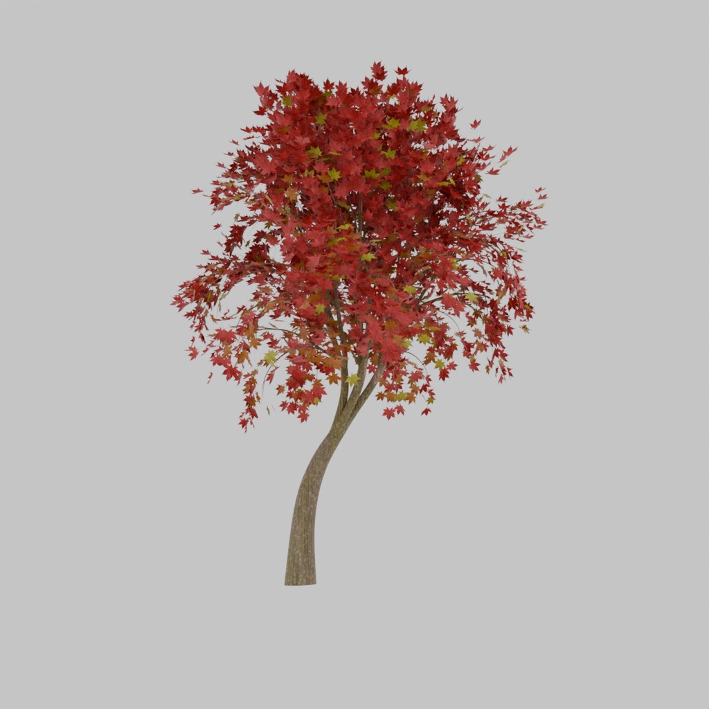 【Blender】 紅葉 autumn leaves 【Model】