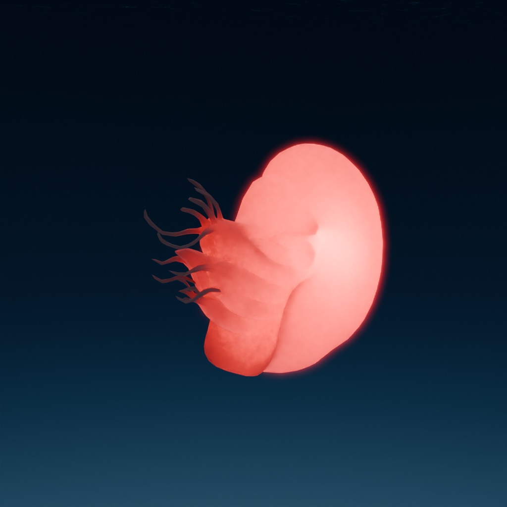 【Blender】 生きた化石(シーラカンス・カブトガニ・オウムガイ)の間接照明 living fossil indirect lighting