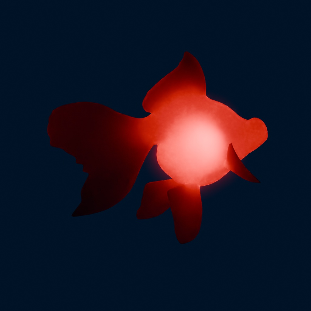 【Blender】 出目金の間接照明 Indirect lighting of Telescope Goldfish
