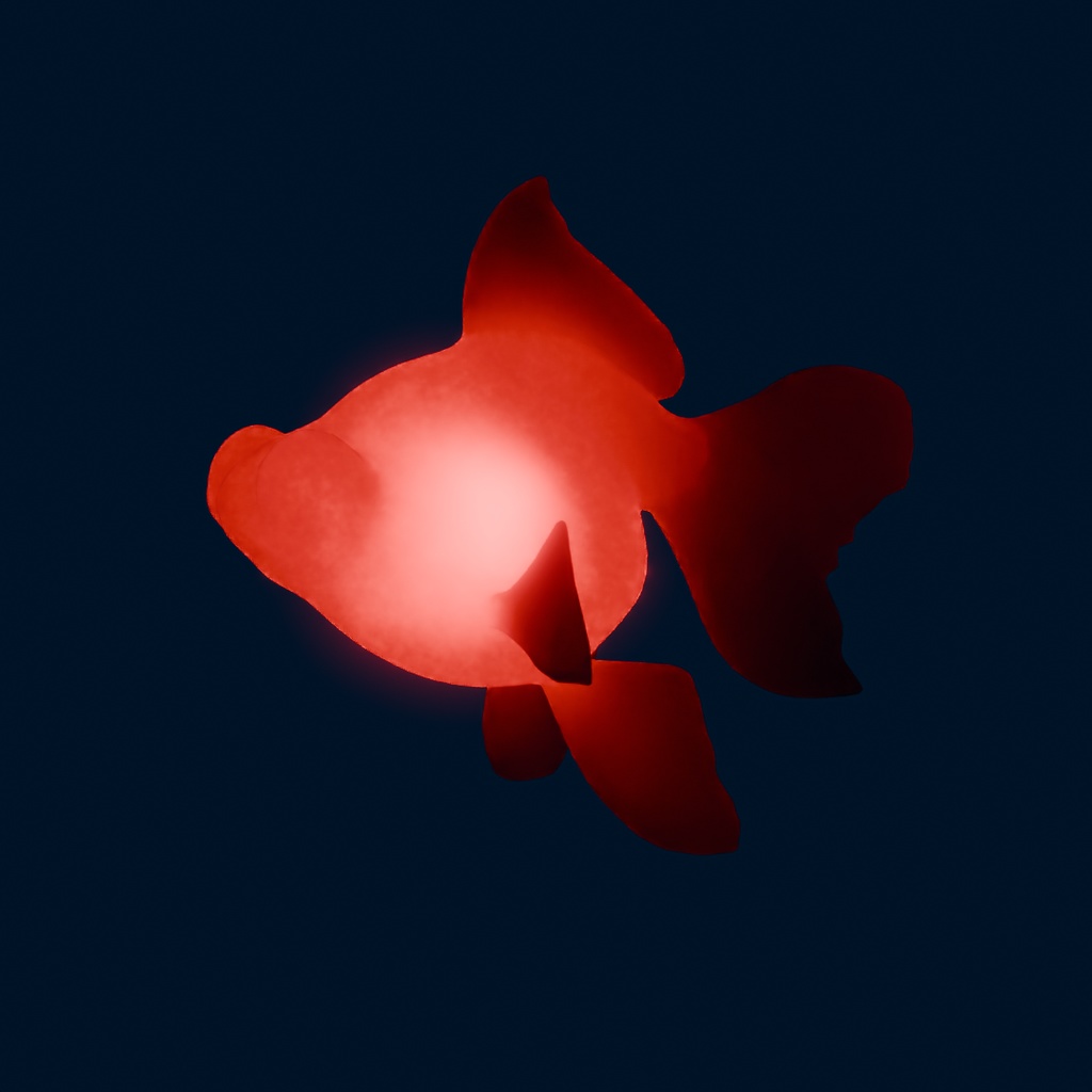 【Blender】 出目金の間接照明 Indirect lighting of Telescope Goldfish