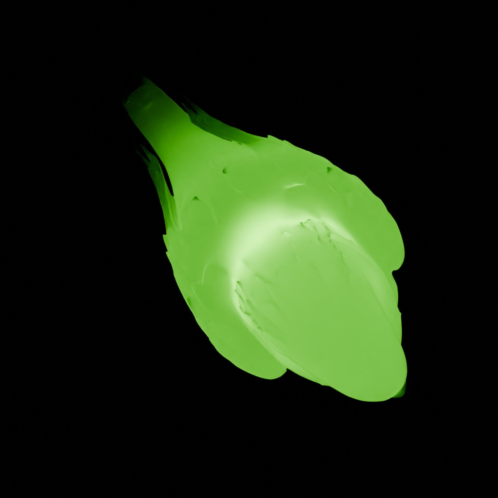 【Blender】 カカポの間接照明 Indirect lighting of Kakapo