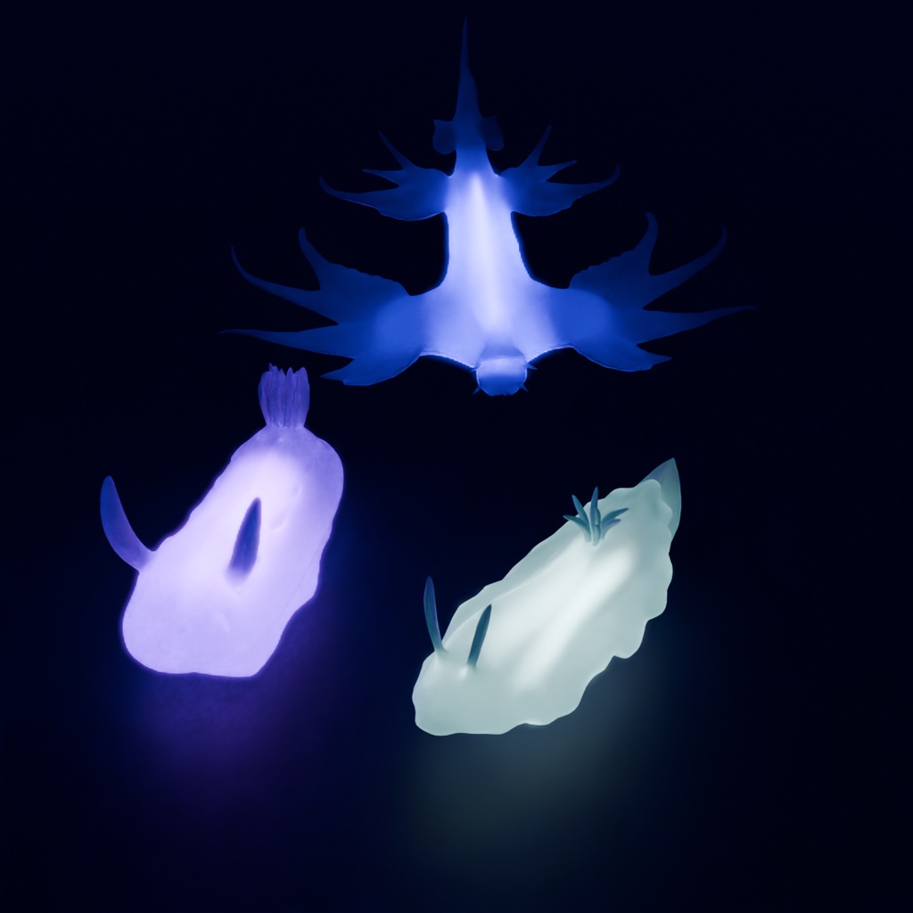 【Blender】 ウミウシの間接照明 Indirect lighting for sea slugs