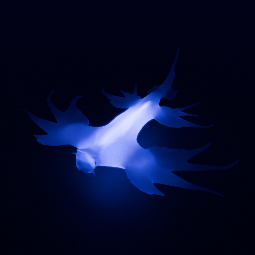 【Blender】 ウミウシの間接照明 Indirect lighting for sea slugs