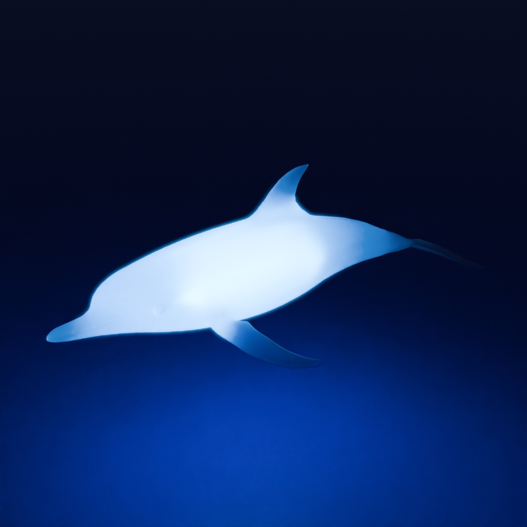 【Blender】 イルカの間接照明 Indirect lighting of dolphins