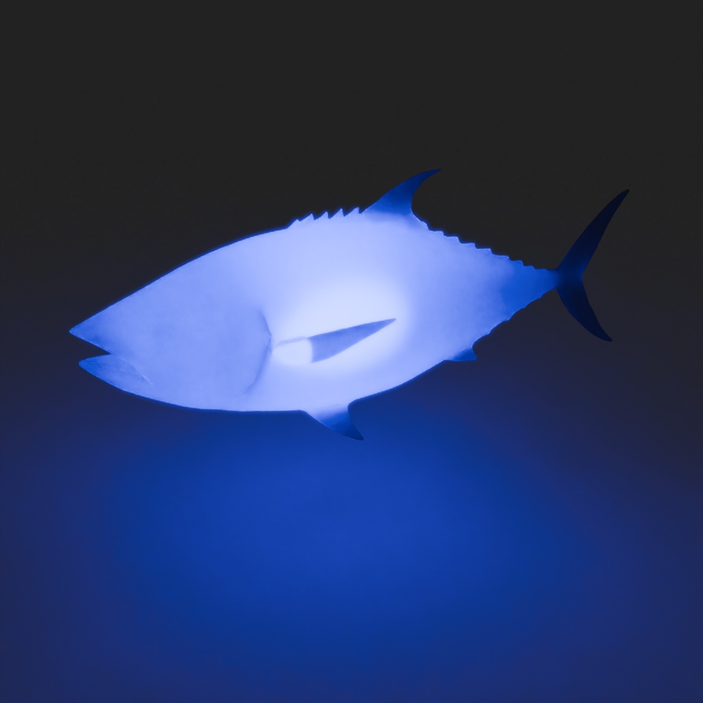 【Blender】 マグロの間接照明 Tuna indirect lighting