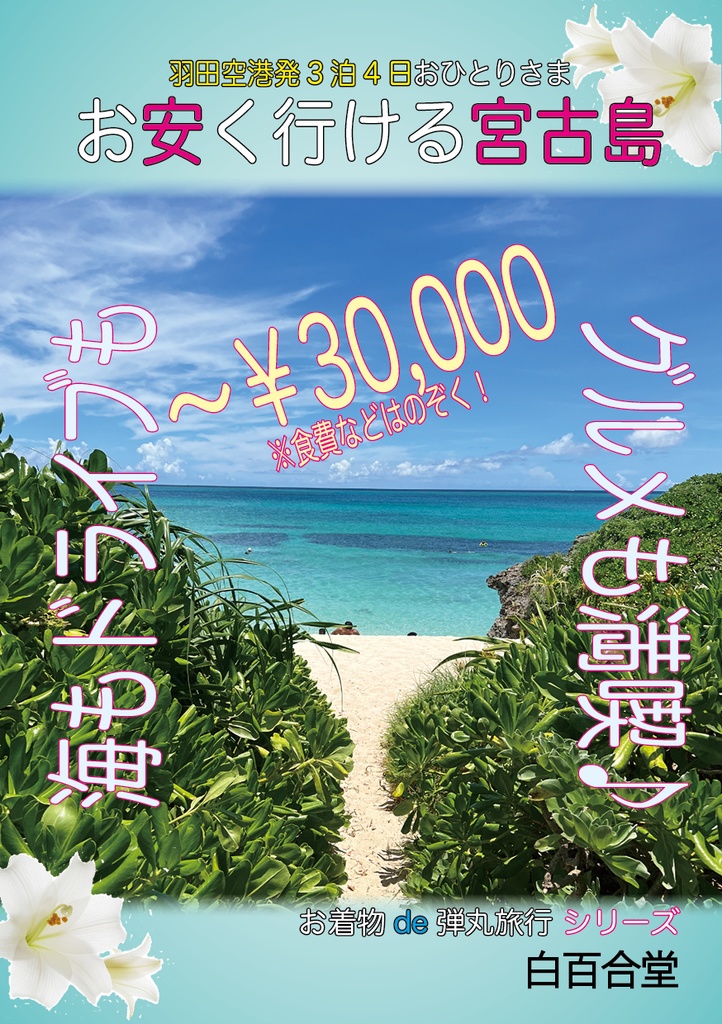 お安く行ける宮古島 三万円未満で海もドライブもグルメも満喫
