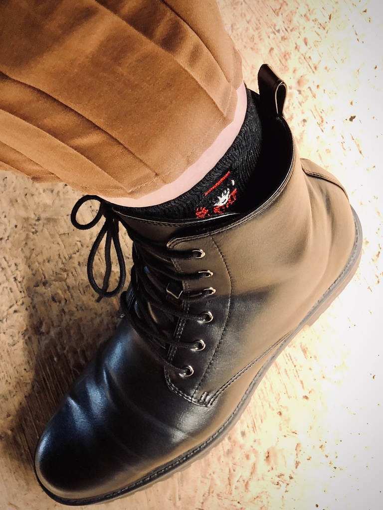 【刺繍靴下】すめらぎすばるくん の くつした (おひる/よる)