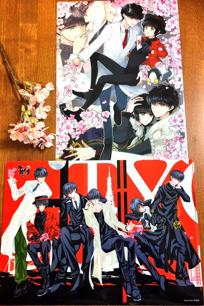 【TYO】星昴A4クリアファイル(星昴プチTYOキービジュアル/星昴アンソロ表紙)両面印刷