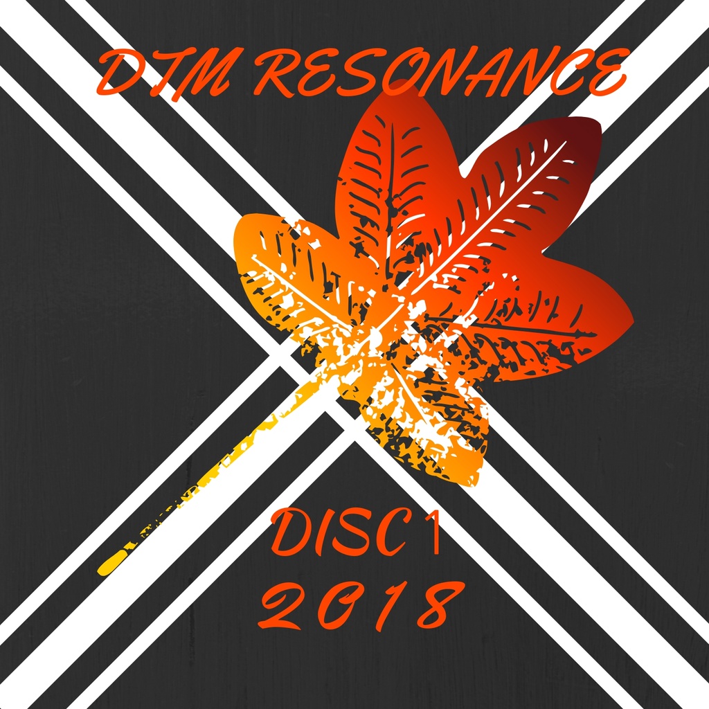 高知工科大学DTMResonance Disc1