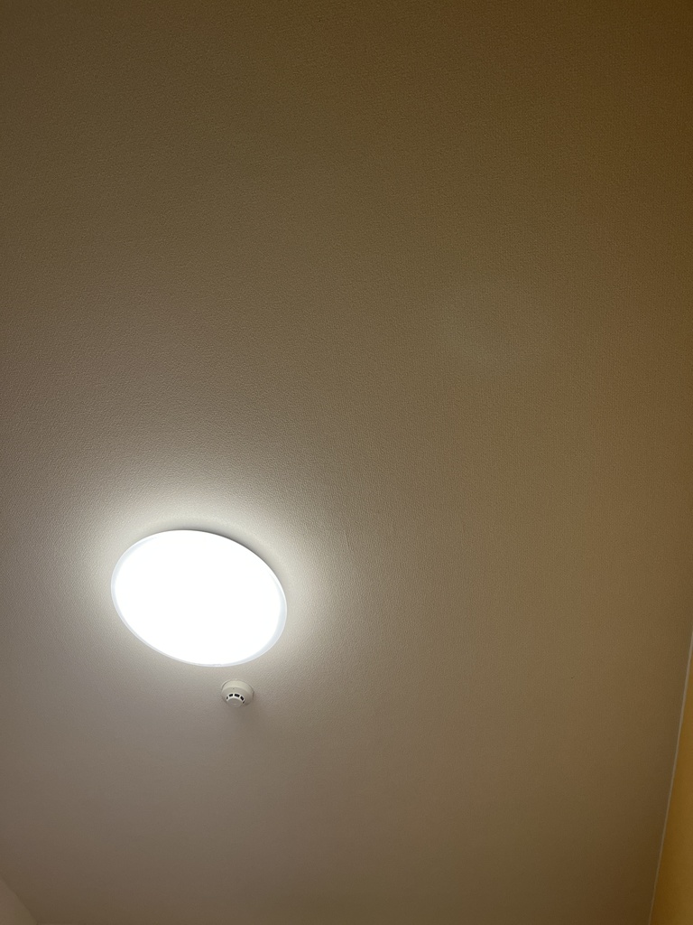 なんかしあわせかもしれない