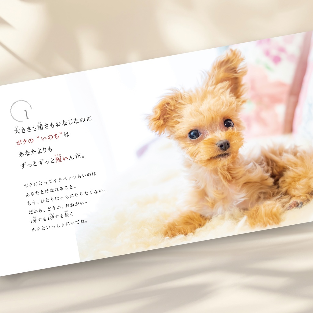 ボクは、ここに、いるよ。