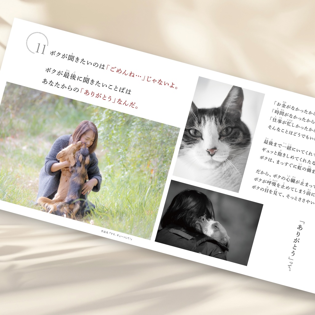 ボクは、ここに、いるよ。