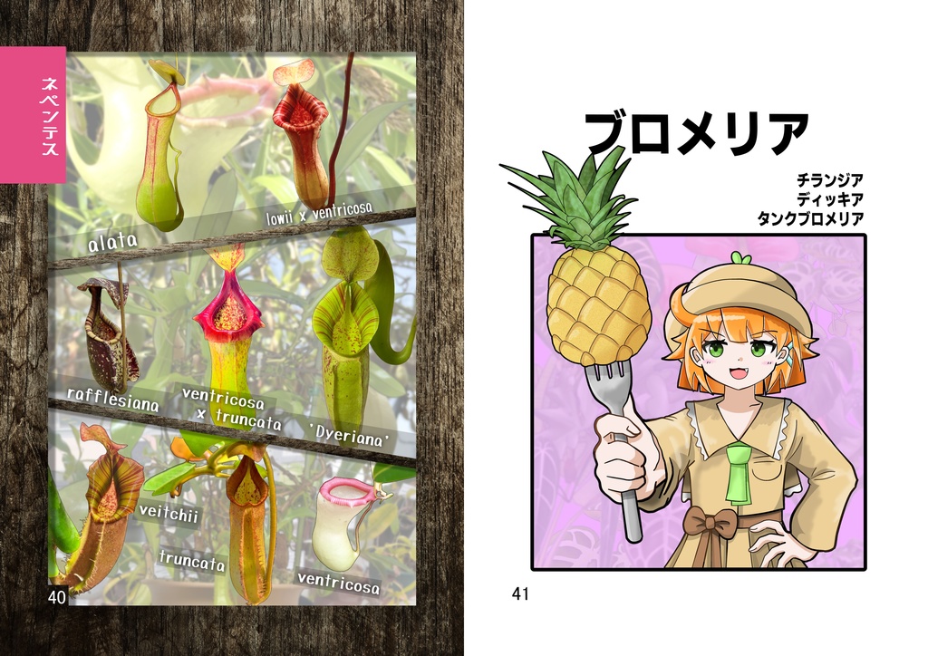 珍草図鑑