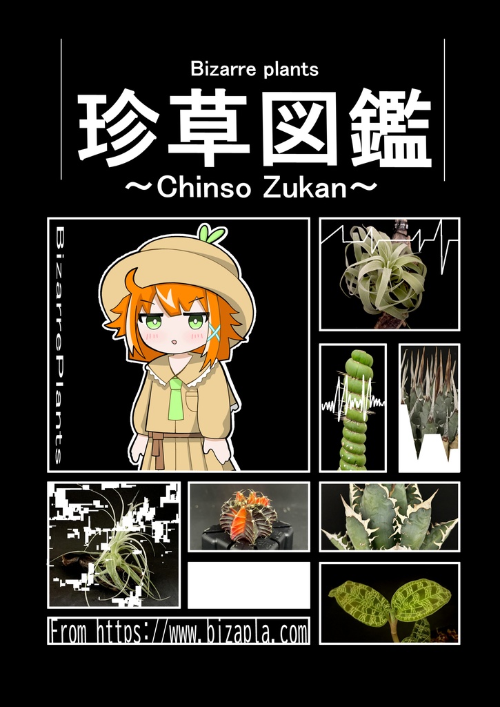珍草図鑑
