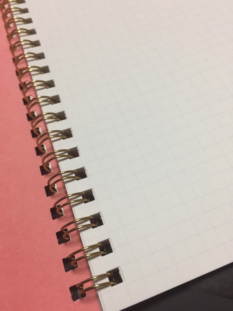 フィーちゃんのリングノート_A5