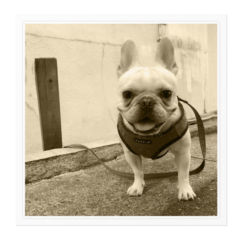 ちまきのべっこんばーシール