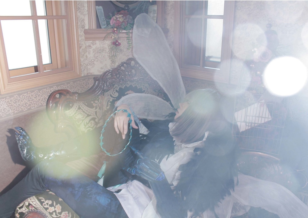 (値下げしました)オベロン・ヴォ―ティガーンコスプレまとめ写真集『アンフォルメル―彩りと跡形ー』