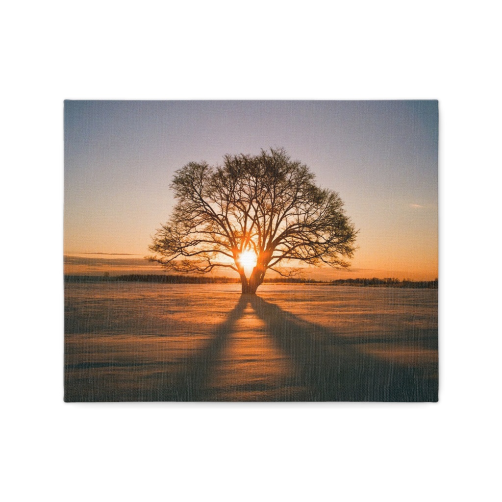 冬の朝日(キャンバス)