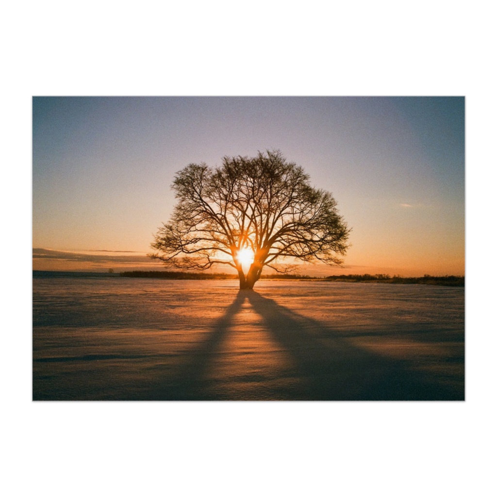 冬の朝日(パネル)