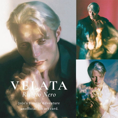 VELATA アートカードセット 