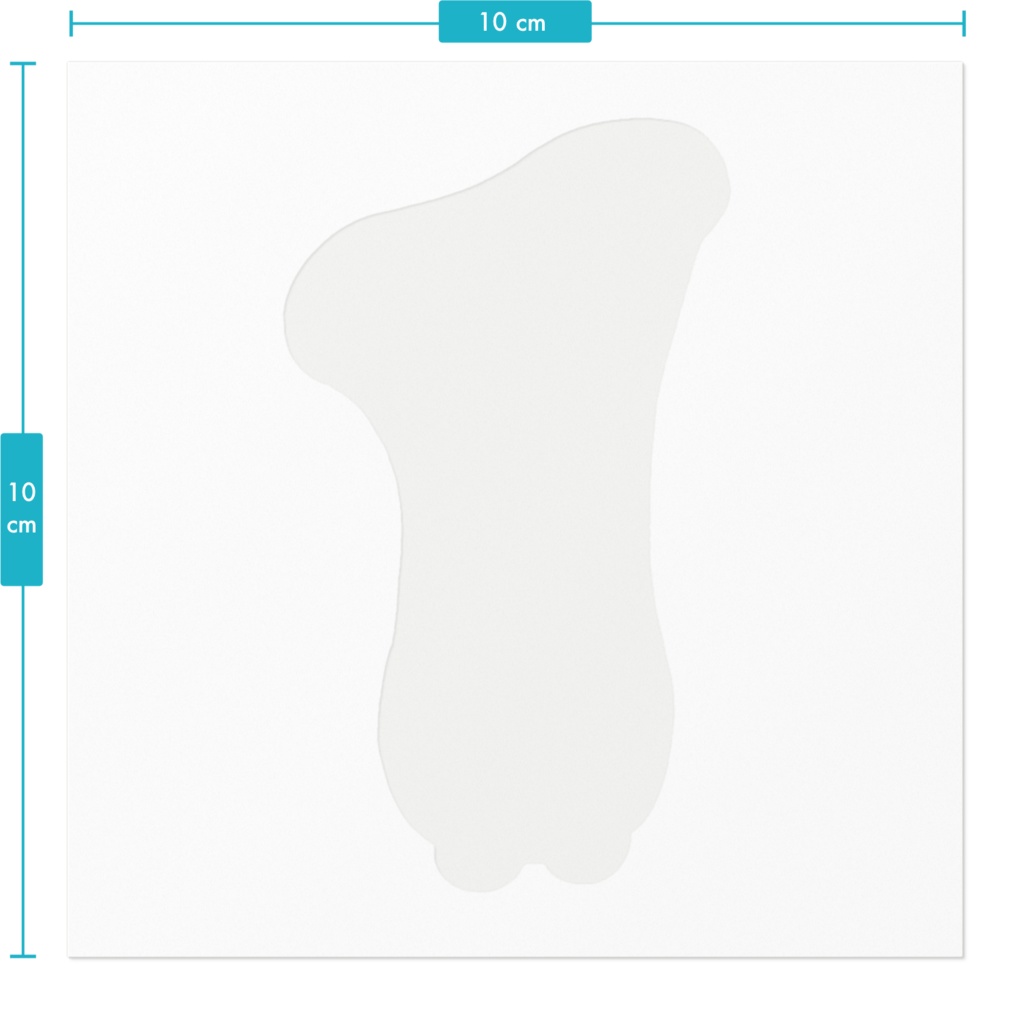 【きのこっこ】エリンギ