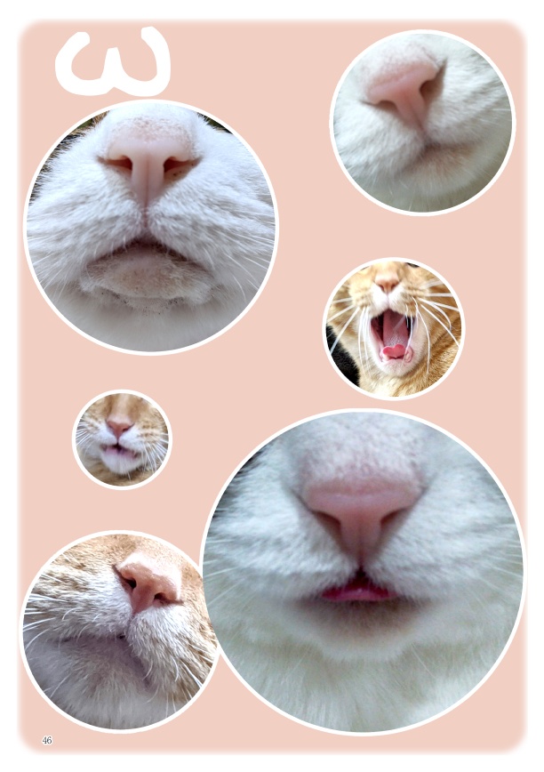 ちまくさ記録(紙版)