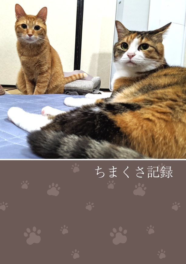 ちまくさ記録(紙版)