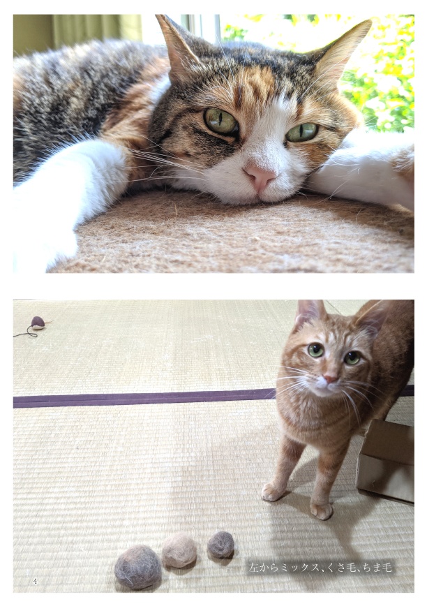 ちまくさ記録(紙版)