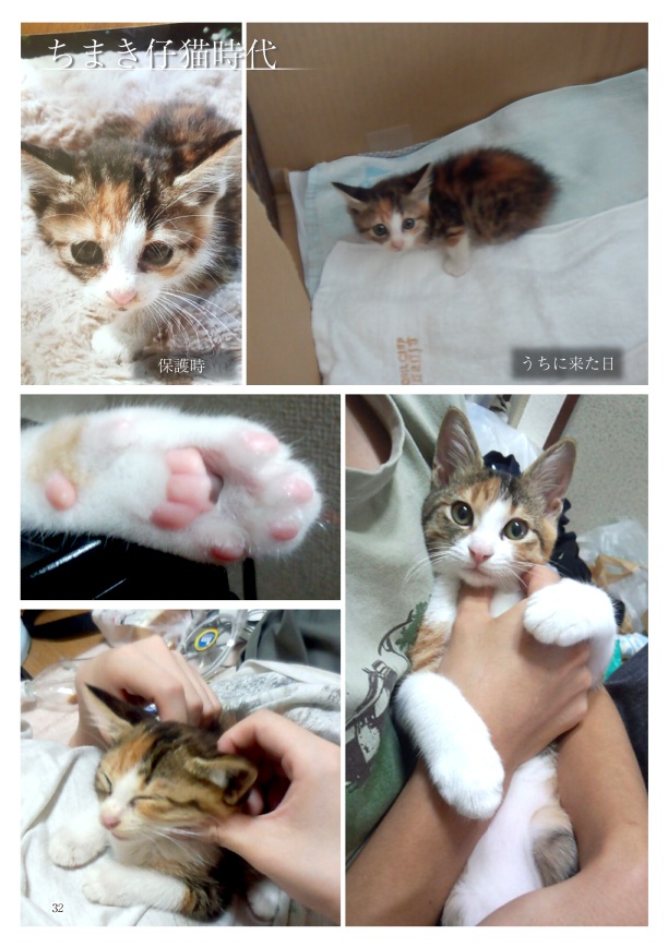 ちまくさ記録(紙版)