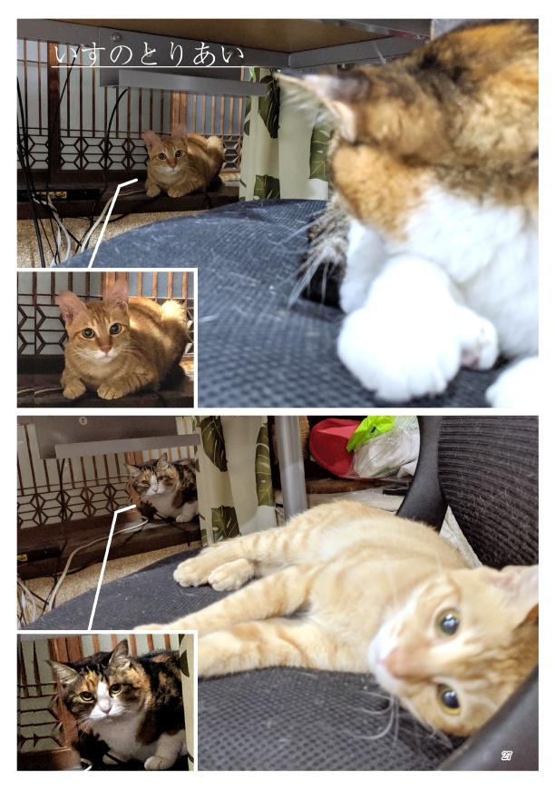 ちまくさ記録(紙版)