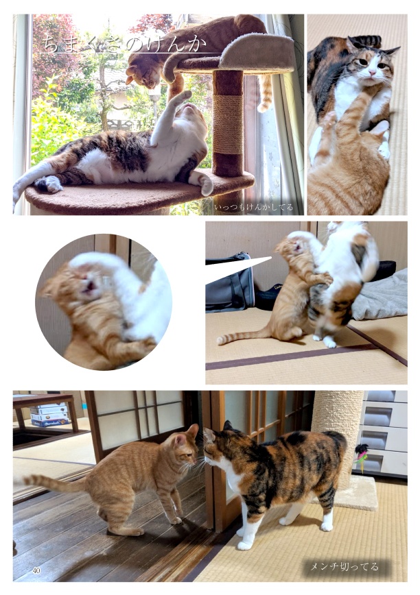 ちまくさ記録(紙版)