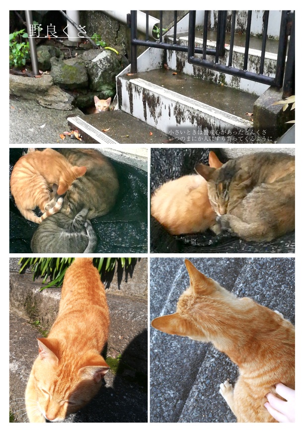 ちまくさ記録(紙版)