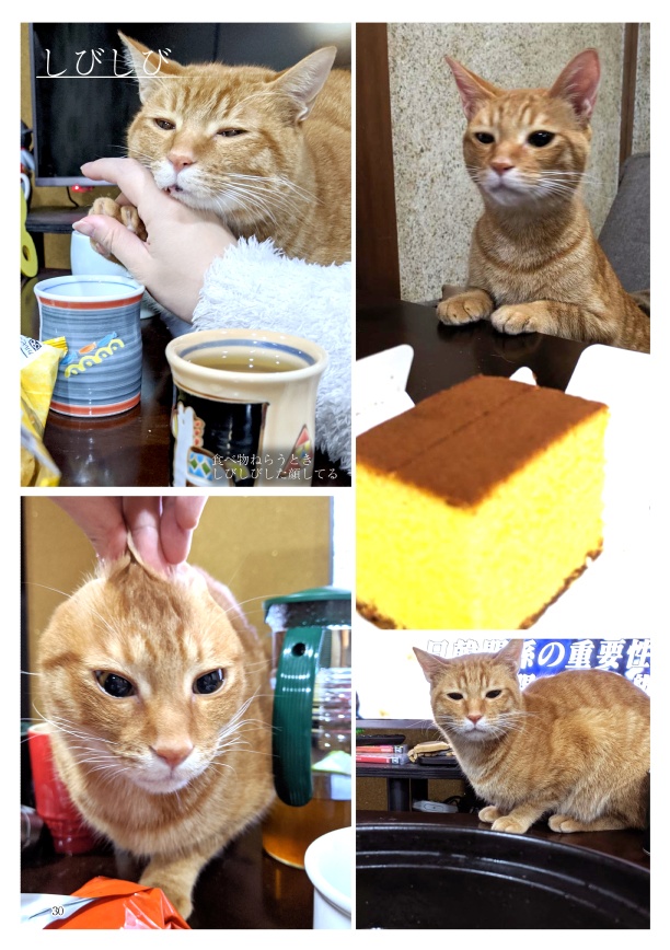 ちまくさ記録(紙版)