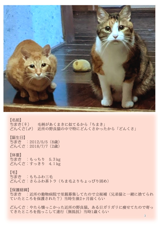 ちまくさ記録(紙版)