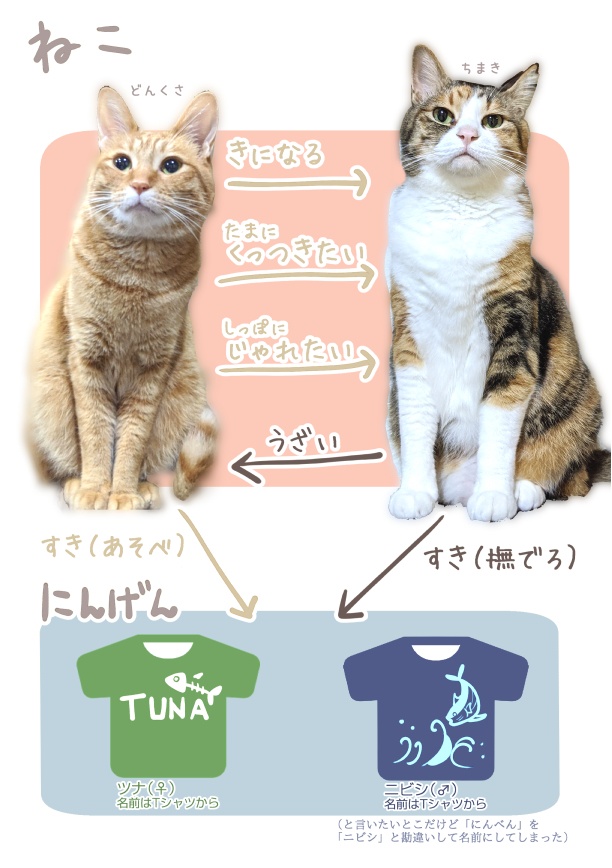 ちまくさ記録(紙版)